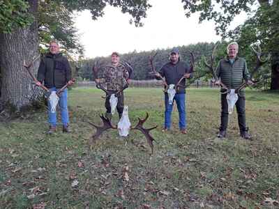 click for enlarge 1920 X 1440 290.1 Kb