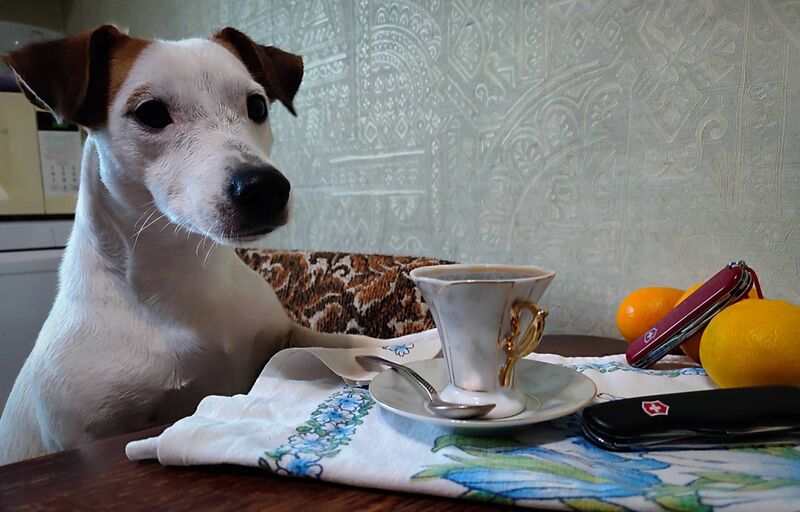 click for enlarge 1920 X 1229 229.7 Kb