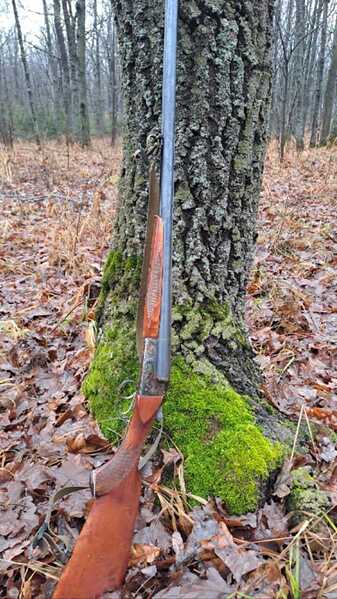 click for enlarge 720 X 1280 134.2 Kb