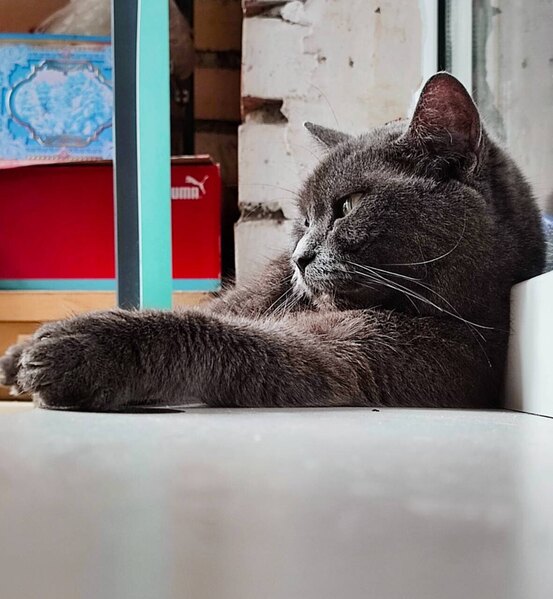 click for enlarge 1181 X 1280 164.7 Kb