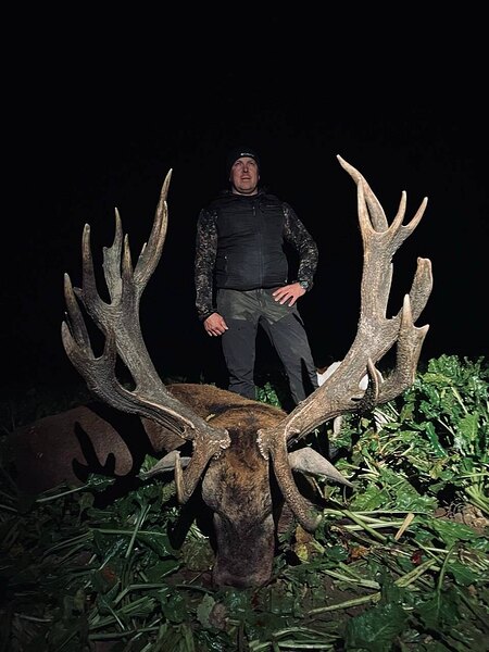 click for enlarge 960 X 1280 148.3 Kb