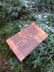 click for enlarge 964 X 1280 244.5 Kb