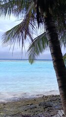 click for enlarge 717 X 1280 165.0 Kb