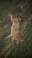 click for enlarge 1081 X 1920 180.3 Kb