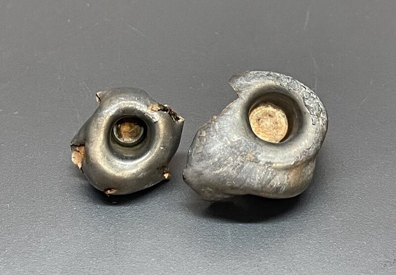 click for enlarge 1280 X 890 132.0 Kb