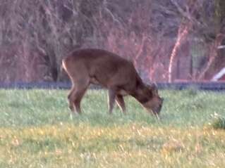 click for enlarge 1707 X 1280 116.9 Kb