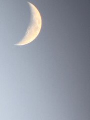 click for enlarge 1280 X 1707  94.3 Kb