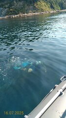 click for enlarge 720 X 1280 149.1 Kb