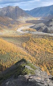 click for enlarge 790 X 1280 181.7 Kb