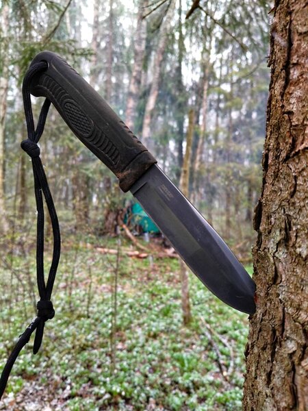 click for enlarge 960 X 1280 212.9 Kb