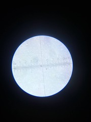 click for enlarge 1280 X 1711 93.8 Kb