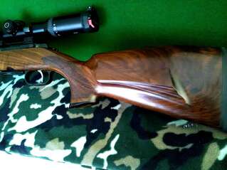������. Cz550 Lux 308 Win+10-�� �������� �������� | Cz527 Lux � Exclusive Eb.Ed.223 Rem �. ��������