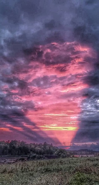 click for enlarge 684 X 1280 107.6 Kb