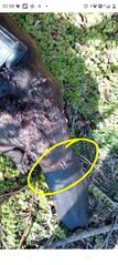 click for enlarge 572 X 1280 119.7 Kb